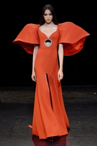 Stéphane Rolland Couture Fall 2017