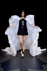 Stéphane Rolland Couture Fall 2017