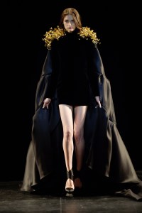 Stéphane Rolland Couture Fall 2017