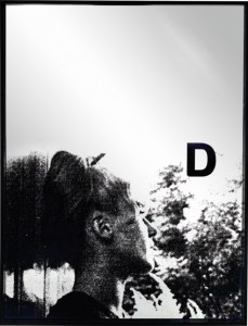 Adam Pendleton's System of Display D