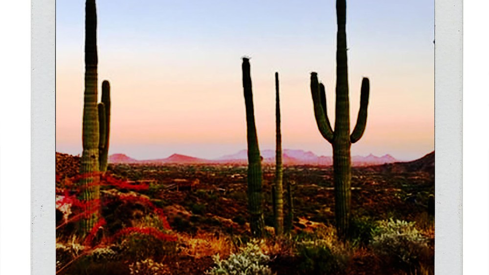 “The Utah desert. I imagined Lauren Hutton’s all-American glamour and her love for a desert adventure in this collection.” — Sylvie Millstein, Hellessy