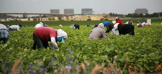 20 EU Countries See Rise Modern Slavery Risks Supply Chains