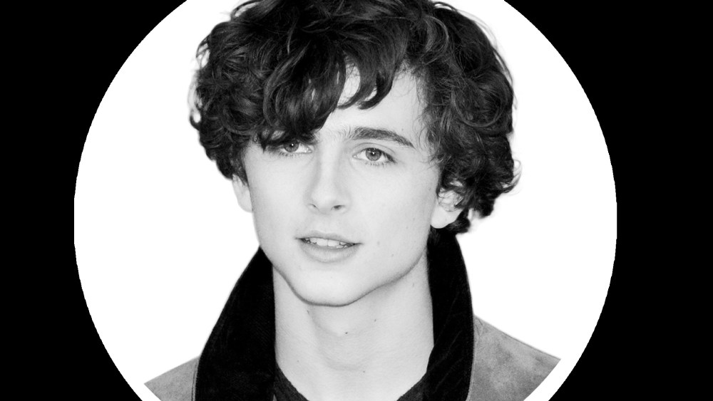 Timothee Chalamet'Call Me by Your Name' photocall, 67th Berlin Film Festival, Germany - 13 Feb 2017