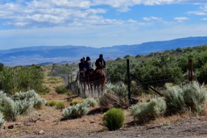 Back view of people on horseback traveling through the southwest landscape of sage and mountains in distance.; Shutterstock ID 636839164; Usage: web; Issue Date: 8/8/17
