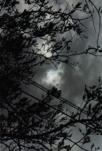 Wolfgang Tillmans' Eclipse 2-3