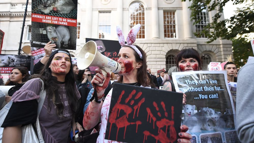 Animal rights protestors outside Burberrys show