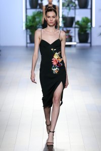 Cushnie Et Ochs RTW Spring 2018