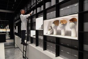 The Dior Héritage archive.