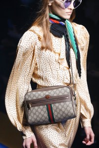 Details at Gucci RTW Spring 2018