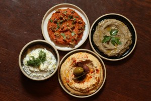 Muhammara, Baba Ganoush, Labneh, and Fermented Miso Hummus.
