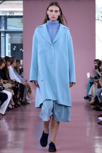 Mansur Gavriel RTW Spring 2018