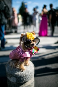 Street style at Milan Fashion Week Women's Spring 2018