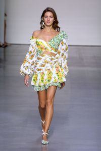 Zimmerman RTW Spring 2018