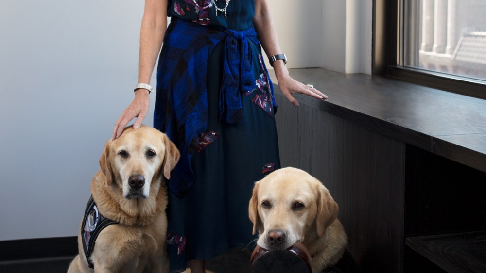 Nicole Miller Teams Up With Puppies Behind Bars for Dog Accessories