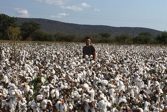 Target Sets Goal of 100 Percent Sustainable Cotton 2022