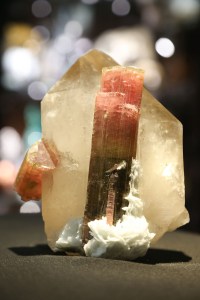 The Astro Gallery of Gems.