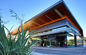 The Webster in Houston.