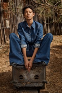 Land of Distraction Launch Collection