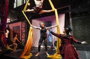 The Circus at Bloomingdale's.