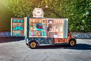 Elyx Boutique Buggy