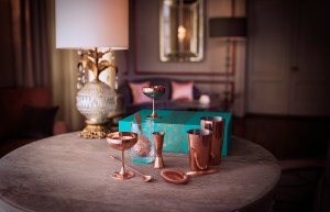 Absolut Elyx Martini Kit