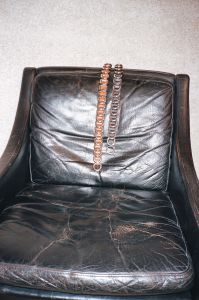 Linder accessories collection.