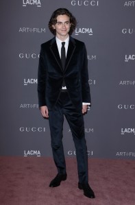 Timothee ChalametLACMA: Art and Film Gala, Arrivals, Los Angeles, USA - 04 Nov 2017