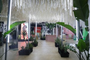 Woolworths Installation at South African Fashion Week Fall 2018.