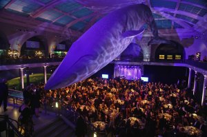 Atmosphere
American Museum of Natural History Gala, Inside, New York, USA - 30 Nov 2017