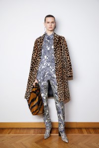 Roberto Cavalli Pre-Fall 2018