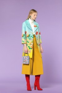 Andrew Gn Pre-Fall 2018