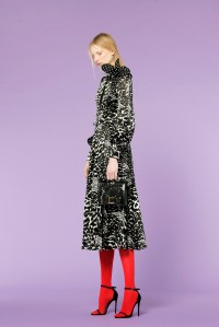 Andrew Gn Pre-Fall 2018