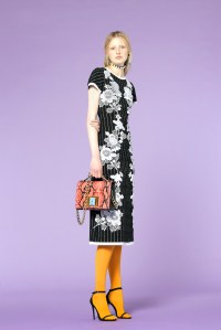 Andrew Gn Pre-Fall 2018