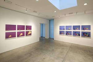 Robin Rhode at Lehmann Maupin Gallery