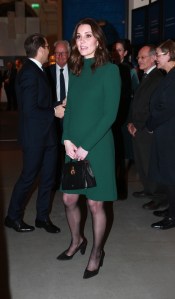 Catherine Duchess of Cambridge at the Nobel Museum in Stockholm
Prince William and Catherine Duchess of Cambridge visit to Sweden - 30 Jan 2018