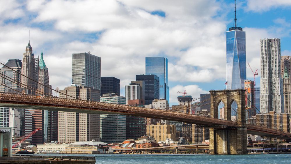 New York City Skyline Fashion Amazon