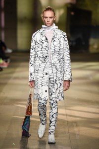 Stefan Cooke Fall 2018