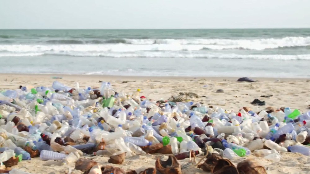 International Fur Federation Focuses on Sustainability With New Video