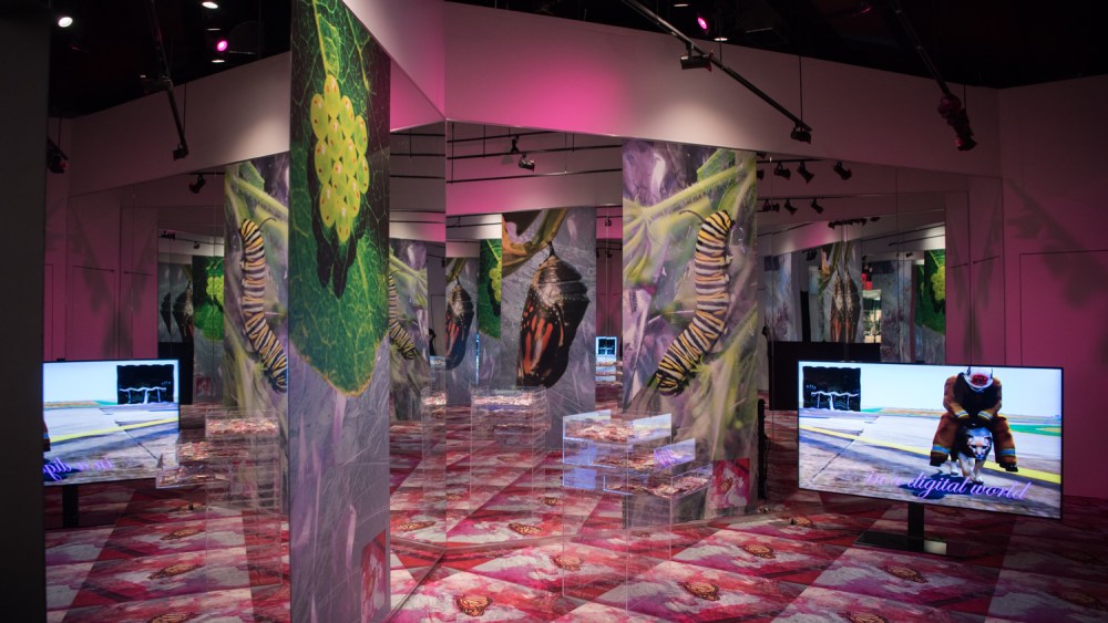 An installation by Cecilia Salama.