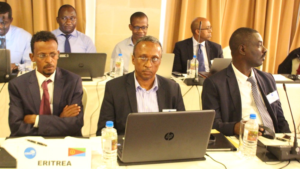 African Nations Launch Digital Free Trade Zone