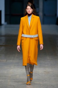 Albino Teodoro RTW Fall 2018