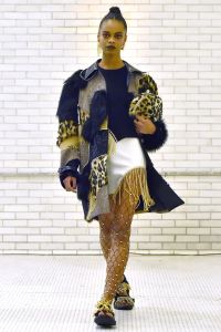 Area RTW Fall 2018
