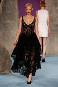 Ashley Williams RTW Fall 2018