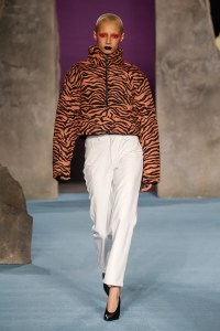 Ashley Williams RTW Fall 2018