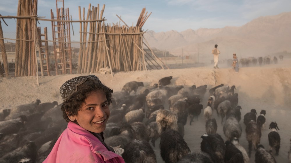 An image of boys tending to their flock in Afghanistan.