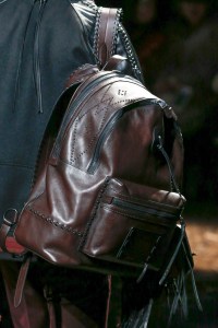 Detail of Coach 1941 RTW Fall 2018