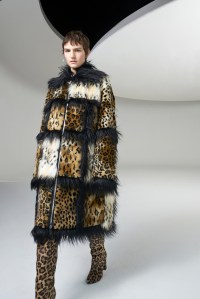 Giamba RTW Fall 2018
