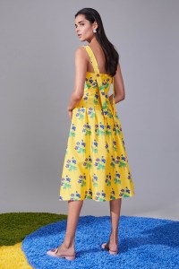 Novis RTW Fall 2018
