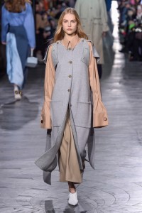 Rejina Pyo  RTW Fall 2018
