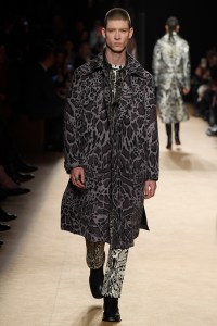 Roberto Cavalli RTW Fall 2018
